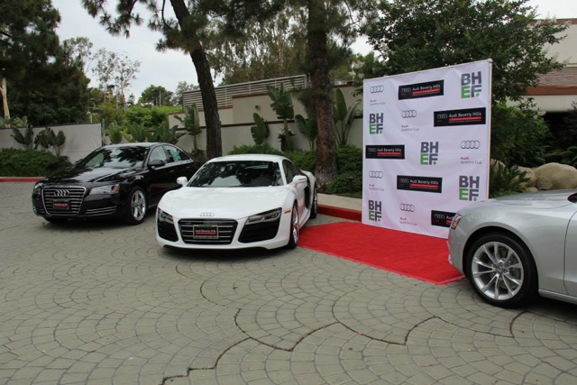 Step and repeat